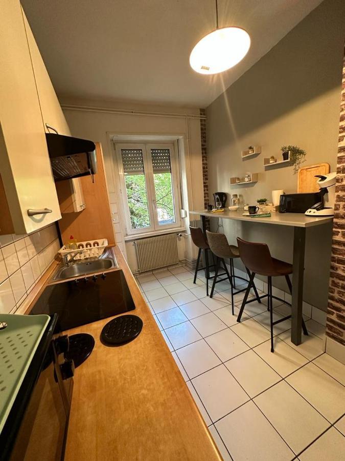 Le Cocon - 3 Pieces Mulhouse Gare/Centre Apartment Bagian luar foto